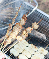 ���~��ĩ���Ҹ�����Ұ���տ�  ���Ź���Կ�����