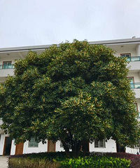 ���� ����