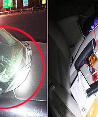 �����ˣ������Ͼ�Ȼӭ�����һ�Ѹ�ͷ