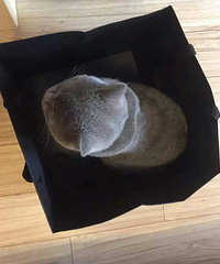 ���� �� �� �� �� �ǡ�