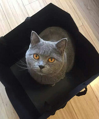 ���� �� �� �� �� �ǡ�