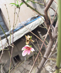 �Ҽ�ʮ���һ���