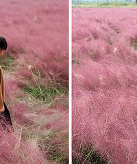 ɹ���������� �ͻ��Ʊ��±�����ͯд�棡