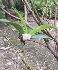 �Ҽ�ʮ���һ���