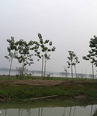 ũ��Ŀ������������Ǻ�