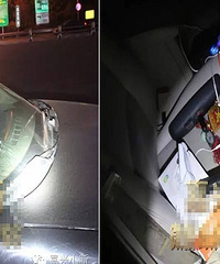 �����ˣ������Ϸ���һ�Ѹ�ͷ ��͸���粣��