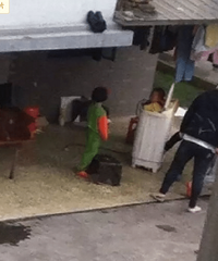 Σ�գ�����2���к�����ϴ�»�  ֻ��ĸ�׾������������¶���