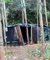 ��Ѯ�Ϻ�ľ��������Ů���� ������Ȼ����ѷ����Թ�ϵ