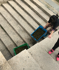 ���ؼ���ĳ�����º���ϴ����  �ȳ�ζ���������֣�