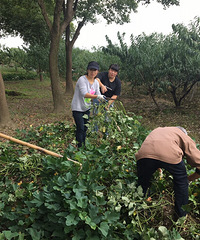 ͬ��������ũ����