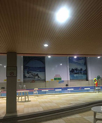 �����˶�ģʽֻΪ�Ǹ������ҵ���