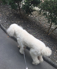 ������ʵ