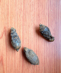 ������·�����˸���˳��ſھ��֡���֥����  רƭ����