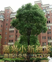 �����㹽����ҵ���� �������ˡ���������ĳ�ߵ�С���ұ�������