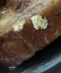 ���ؼ���ĳ����ʳ�ø�Ա�����Ӳ͡������������⻹������