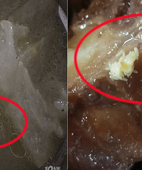 ʳ�á��Ӳ͡�  �������⻹�����ԣ�