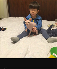 �Ͼ���˹�ҿ�˹��ëè�������ޱȵľ�����