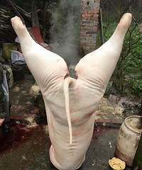 ���⾹Ȼ��ô���� �Ҷ���֪������ô�������ˡ���