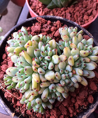 ���컹�Ǻ�������