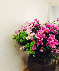 ���õ����� ��Ҫ���������� ����������