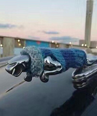 �Ա�����OS������һ�����