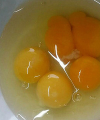 ս���������ĵ�����˫�ƾ������ƣ�