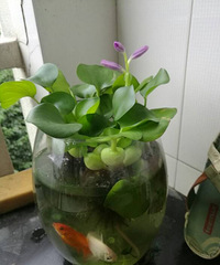 ˮ��«�����ˣ�