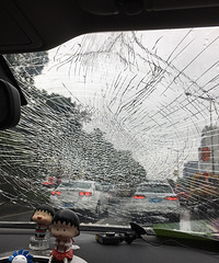 ˭�ɵģ����桢�Ź�������һ��  ���粣����ȫ�顤����