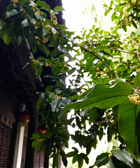 ����÷���