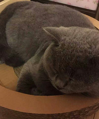 ��һ������������ж�ô�Ĳ�ϲ�����������