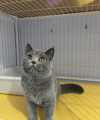 ��������è�����ѳ���лл���˵���Ů����һ