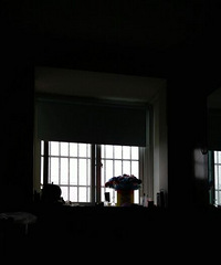 ����ô����