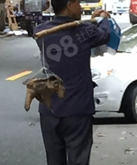 ǧ���������������������ڽ�ͷ���������ǧ���ڹꡱ