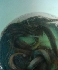 ץ����������