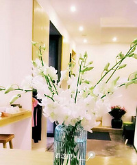 ����һ�ģ������ա�