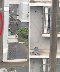 ���ؼ���ĳС��һС������ȫ�� ������̨�ޣ�