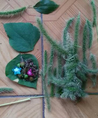 �ù�β�Ͳ�����Сè