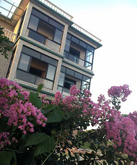 ���ε�ĳ��������