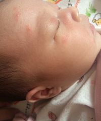 �����ơ�����12�챦����������ɶ��ʪ����