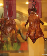 һֻ��Ѽ�����ġ�Ѫ������ͩ��һ��ʳ��������̫�ò��ⶾ�֡�����