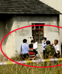 ��������������淢������ �����ѵ����ֳ���