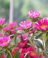 ��Ů��30��Ҫ�����Լ���Ů�� ����������