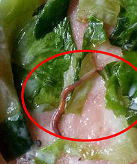 ͩ��ĳ���������� ���澹Ȼ�л�����