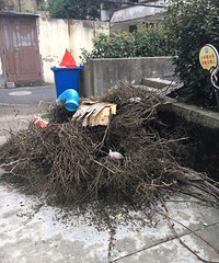 ���������С�����������˰�����ˣ�����û