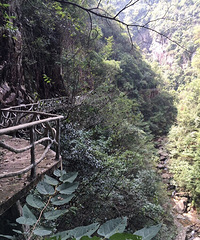 ���Լ�������Ͽ�ȡ�ɽ��������Ǻ� ���ž�������һ����