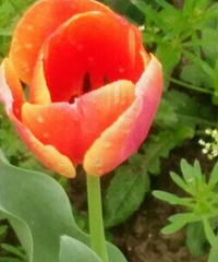 �������õ����ﶼֻ��ͣ����һ˲��