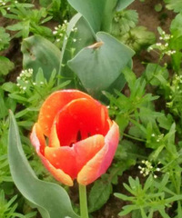 �������õ����ﶼֻ��ͣ����һ˲��