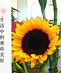 С�ɰ�˵�����õ�����ͬ�����