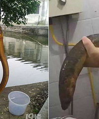 �����ˡ���������һ����������