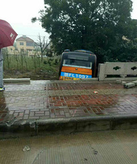 �������һ������ͻȻԾ�����е�  ſ����·���µ��Ӳݵ���